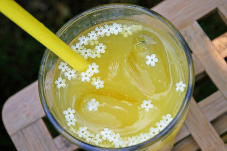 3 raisons d’utiliser les pailles en pâte pour préserver la nature
