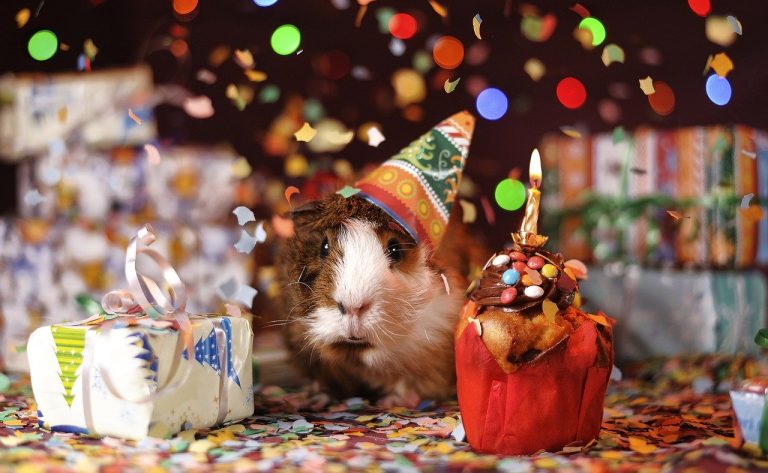 5 idées de thème pour un anniversaire geek !