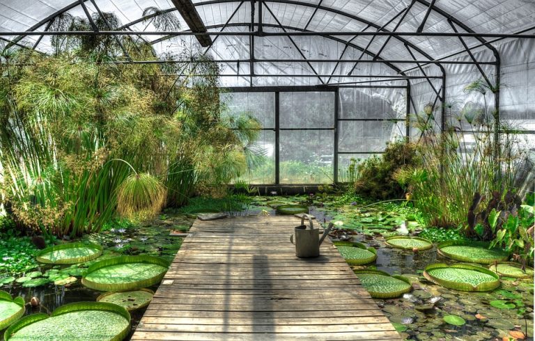 Jardin mexicain : l’exotisme chez soi